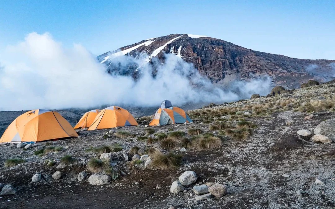 West Kilimanjaro